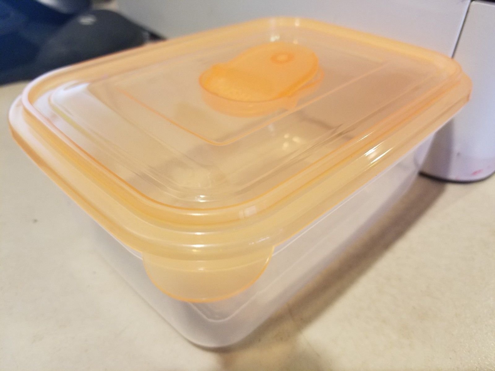 POWERFUL, POWDERY ORANGE ISOPODS! 25 ISOPODS. - Image 4